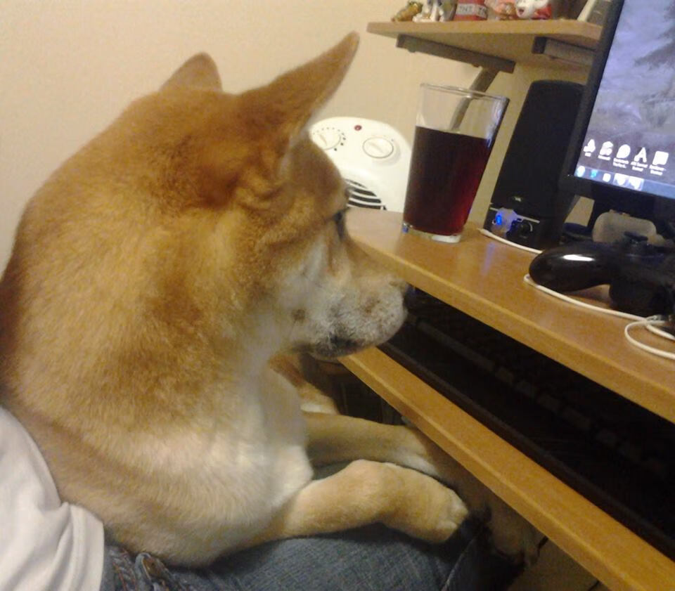 探秘：球员训练的“幕后花絮”大公开，球队训练