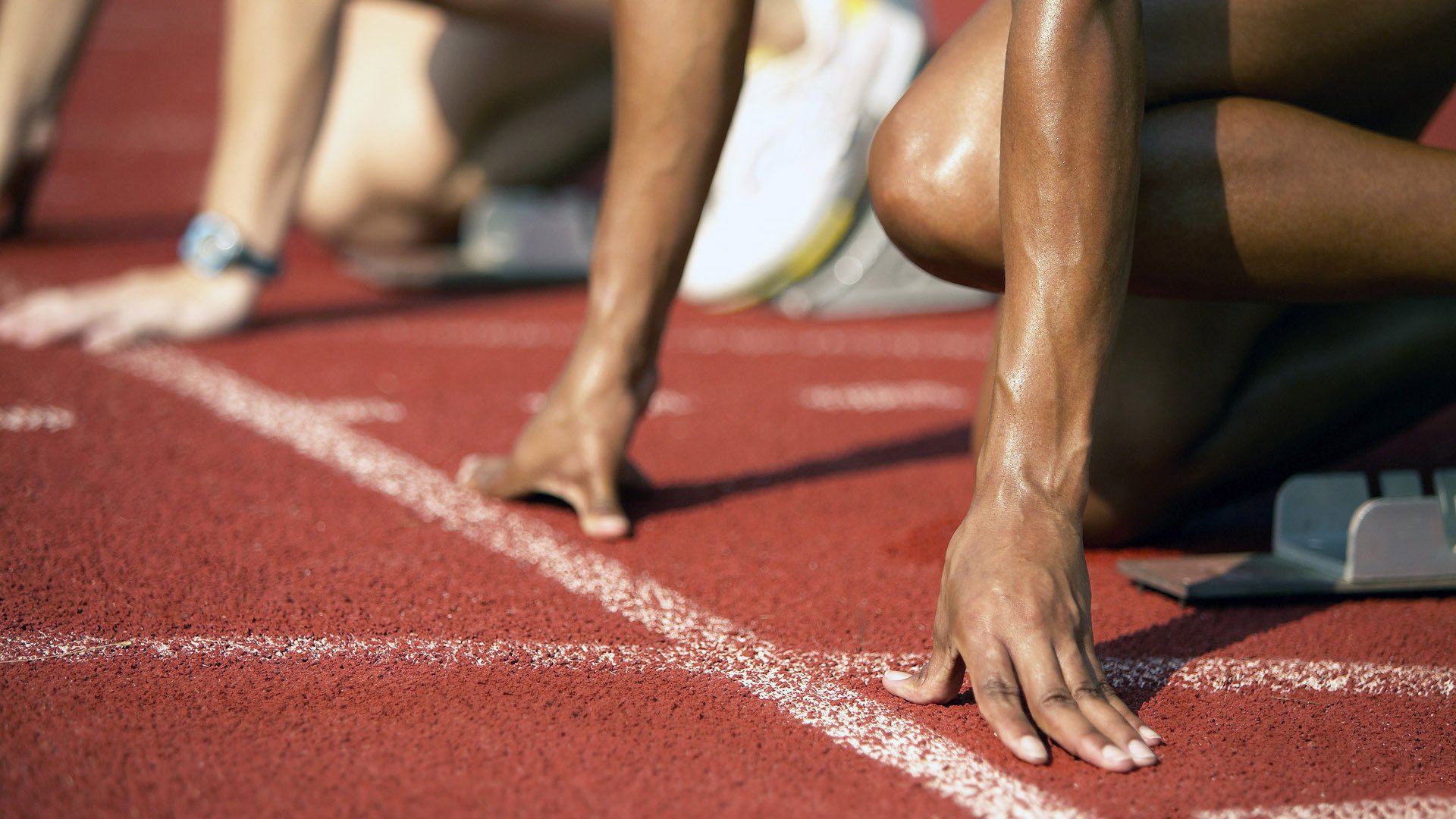 跳水半决赛荷兰力争突破，跳水半决赛视频